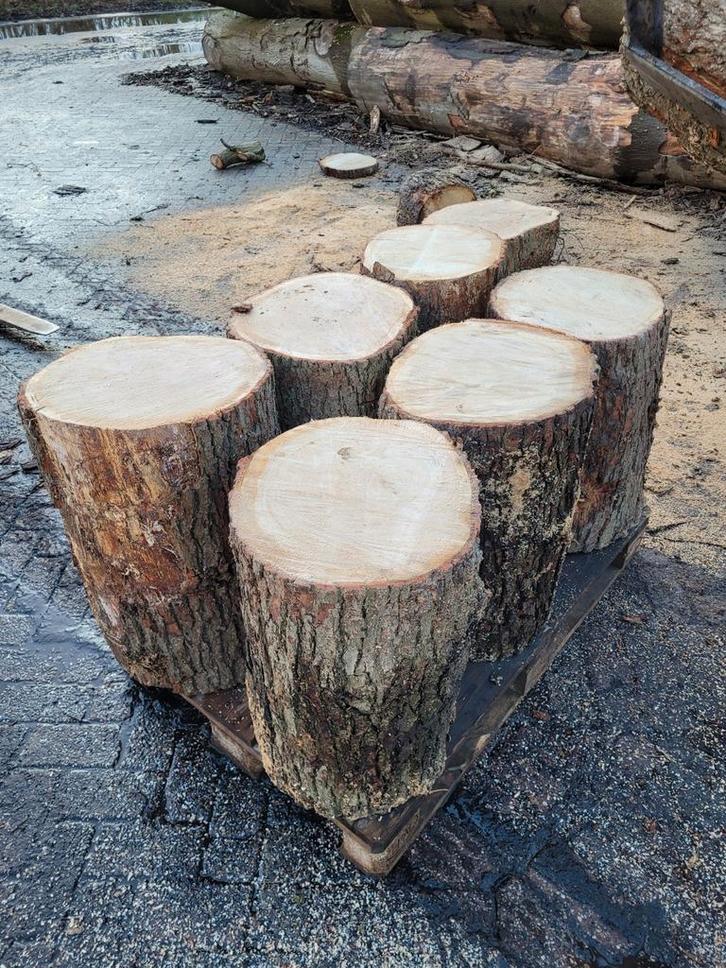Spijkerblok, spijkerslaan, hakblok eiken, boomstam Aambeeld, Tuin en Terras, Haardhout, Stammen, Ophalen