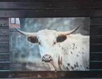 Glasschilderij landelijk stier/koe, Huis en Inrichting, Ophalen of Verzenden, Zo goed als nieuw, Schilderij, 100 tot 125 cm