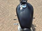 Harley-Davidson XL 883C Sportster Custom . Zeer nette staat!, Bedrijf, 883 cc, Meer dan 35 kW, Overig