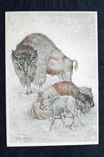 Wisent / Bizon, getekend, Verzamelen, Ansichtkaarten | Dieren, Verzenden, 1960 tot 1980, Ongelopen, Wild dier