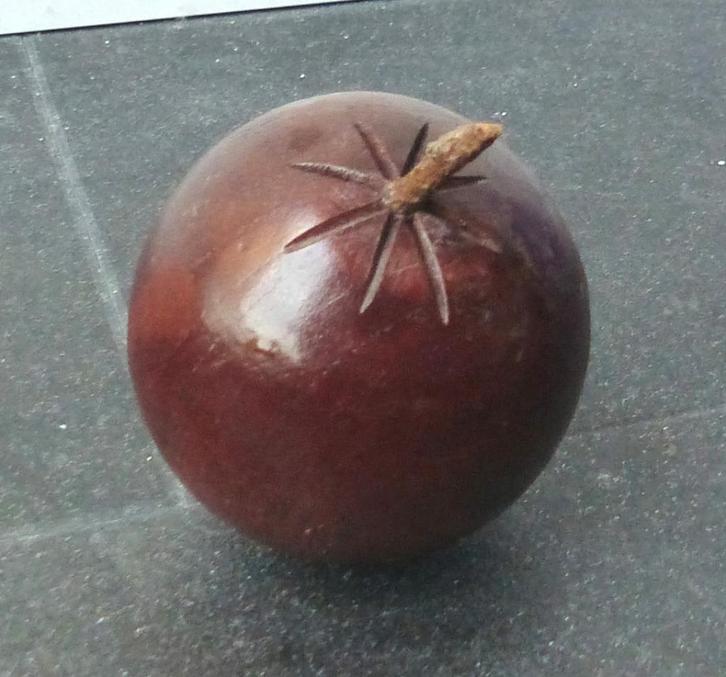 Houten fruit appel sinaasappel pruim?, Verzamelen, Beelden en Beeldjes, Gebruikt, Overige typen, Ophalen of Verzenden
