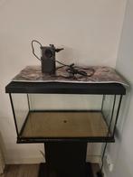 Te koop: aquarium 60 liter met onderstel, Dieren en Toebehoren, Ophalen