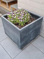 Gratis plantenbak 65 x 65 cm., Ophalen, Kunststof, Gebruikt, Vierkant