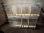 Draadkooi-broedkooi-kweekkooi, Dieren en Toebehoren, Ophalen of Verzenden, Zo goed als nieuw, Broedkooi of Kweekkooi