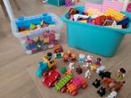 Grote partij Duplo lego, Kinderen en Baby's, Speelgoed | Duplo en Lego, Ophalen, Duplo