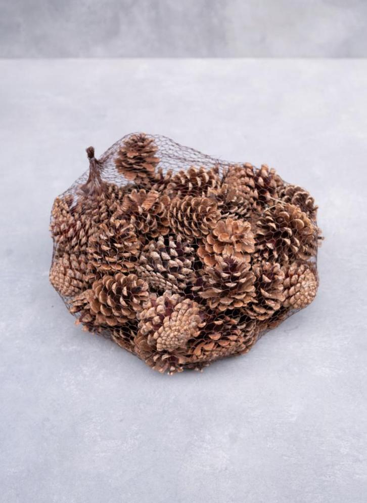 Netje echte dennenappels 200 gram, Diversen, Kerst, Nieuw, Ophalen of Verzenden