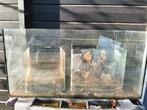 Drie aquaria plus benodigdheden., Dieren en Toebehoren, Vissen | Aquaria en Toebehoren, Ophalen, Gebruikt, Leeg aquarium
