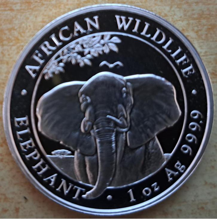 Somalia Elephant 2021 - 1 Oz. puur zilver Proof, Postzegels en Munten, Munten | Afrika, Losse munt, Overige landen, Zilver, Ophalen of Verzenden