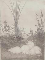 Ets "4 Muizen in het Bos" van Jan Mankes, Ophalen of Verzenden