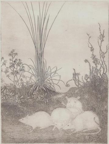 Ets "4 Muizen in het Bos" van Jan Mankes beschikbaar voor biedingen
