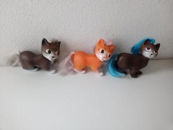 Kitty Care beschikbaar voor biedingen