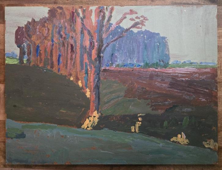 P.C. Kuiper schilderij – De Ploeg stijl – 60 x 80 cm, Antiek en Kunst, Kunst | Schilderijen | Klassiek, Ophalen of Verzenden