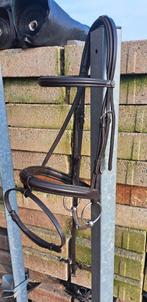 Schockemohle hoofdstel maat full, Dieren en Toebehoren, Ophalen of Verzenden, Zo goed als nieuw, Springen