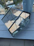 Hamster kooi., Kooi, Gebruikt, Minder dan 75 cm, Hamster