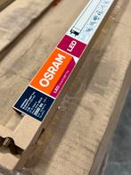 Osram verlichting led en TL restpartijen, Zakelijke goederen, Overige categorieën, Ophalen of Verzenden