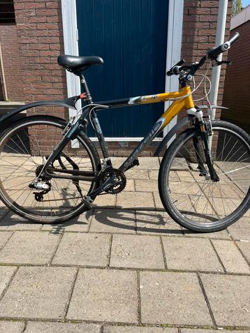 Gazelle Golfo heren beschikbaar voor biedingen