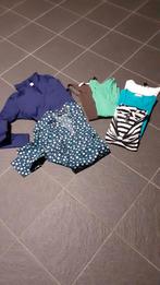Blouses truitjes en hemdjes zie omschrijving, Ophalen, Zo goed als nieuw, Maat 36 (S)
