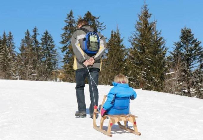 Houten slee opvouwbaar met rugleuning, Kinderen en Baby's, Speelgoed | Buiten | Sleeën, Zo goed als nieuw, Hout, Rugleuning, Ophalen of Verzenden