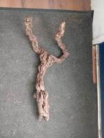 Drijfhout, Ophalen of Verzenden, Zo goed als nieuw, Terrarium of Paludarium