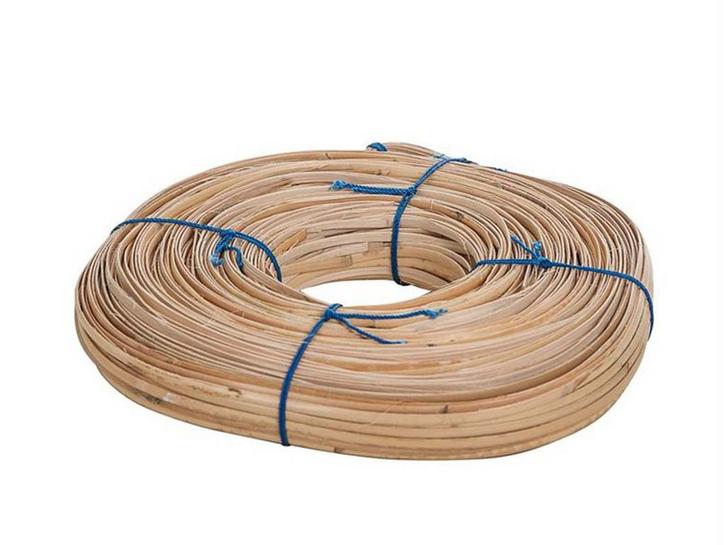 Gekante Vlechtband – 6 mm, Dieren en Toebehoren, Insecten en Spinnen, Bijen