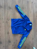 Adidas trainingsvest mt 140, Kinderen en Baby's, Kinderkleding | Maat 140, Ophalen, Adidas, Gebruikt, Jongen of Meisje