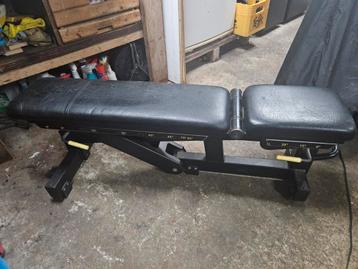 Technogym fitness bank  beschikbaar voor biedingen