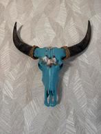 Buffel schedel Ibiza style, Ophalen, Gebruikt, Wild dier, Schedel