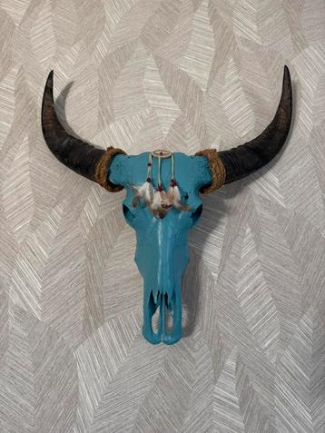 Buffel schedel Ibiza style beschikbaar voor biedingen