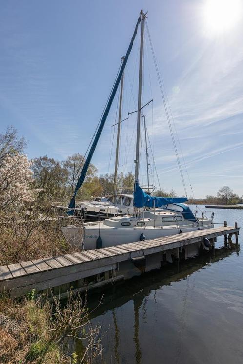 Zeiljacht Albin Vega, Watersport en Boten, Kajuitzeilboten en Zeiljachten, Gebruikt, Tourjacht of Cruiser, Polyester, 6 tot 9 meter