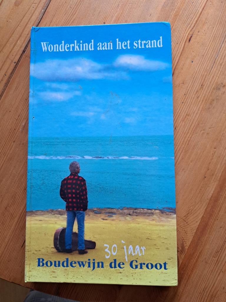 Boudewijn de Groot, Ophalen of Verzenden, Gebruikt, Nederlandstalig