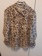 Leuke Blouse van Zara maat S, Overige kleuren, Zara, Ophalen of Verzenden, Zo goed als nieuw