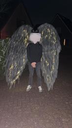 Kostuum Vleugels, Ophalen of Verzenden, Zo goed als nieuw, 104 of kleiner, Jongen of Meisje