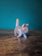 Kat oceaan jaspis, Verzenden