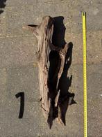 Grote stukken Kienhout tot +- 90cm, Dieren en Toebehoren, Ophalen of Verzenden, Plant(en), Steen of Hout