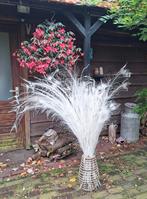 Witte Pauwenveren - Decoratie, Huis en Inrichting, Woonaccessoires | Droogbloemen, Ophalen, Gebruikt