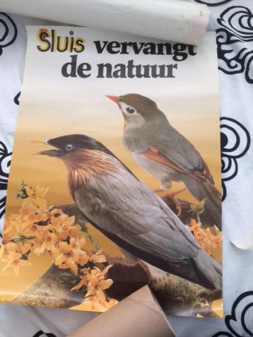 reclame poster Sluis..vervangt de natuur 2 vogels jr 70 80 beschikbaar voor biedingen