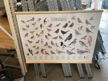 Tuinvogel post/wandkaart beschikbaar voor biedingen
