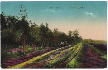 Assen, Op de Heide. Nauta 10817. Opruimingskaart beschikbaar voor biedingen