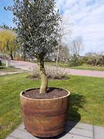 Whiskeyvat Eikenhouten Bloembak Plantenbak 100L, Tuin en Terras, Nieuw, Rond, Hout, 30 tot 60 cm