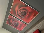 Schilderij roos, Ophalen, Zo goed als nieuw, Schilderij, 75 tot 100 cm