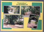 “ Fonteinbos” , Oudemirdum, Verzamelen, Ansichtkaarten | Nederland, Ophalen of Verzenden, Ongelopen, Friesland
