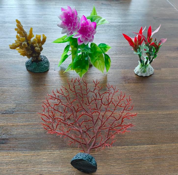 Veel / verschillende aquarium decoratie, Dieren en Toebehoren, Vissen | Aquaria en Toebehoren, Zo goed als nieuw, Plant(en), Steen of Hout