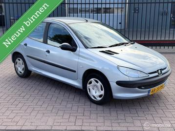 Peugeot 206 1.1 XR beschikbaar voor biedingen