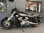 HARLEY-DAVIDSON HARLEY DAVIDSON VRSCR (bj 2005), 2 cilinders, HARLEY-DAVIDSON, Bedrijf, Onbekend