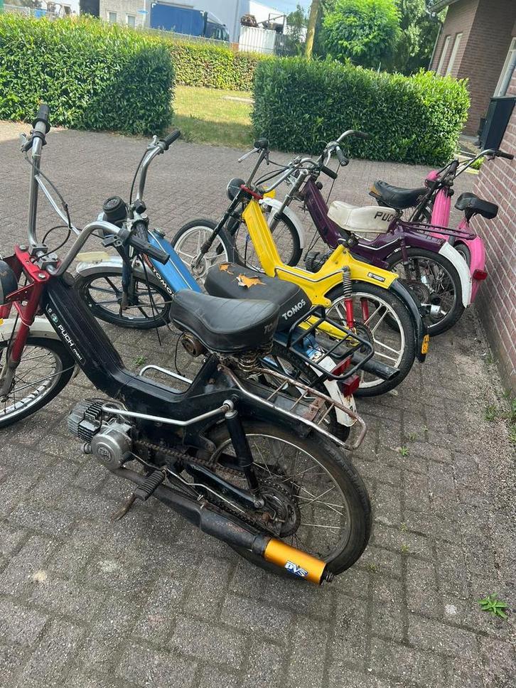 Gevraagd Puch maxi , macho 2 speed en meer, Fietsen en Brommers, Brommers | Puch, Zo goed als nieuw, Maxi, Ophalen