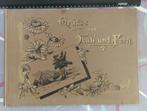 Ongebruikt ansichtkaarten/fotoalbum ca 1890, Ophalen of Verzenden