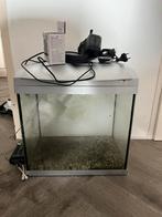 GRATIS Aquarium 40 liter, Ophalen, Gebruikt, Leeg aquarium