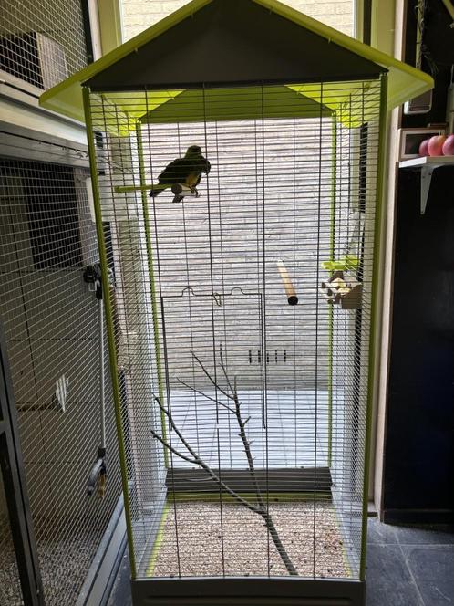 (Binnen)voliere + broedblok, Dieren en Toebehoren, Vogels | Hokken en Kooien, Zo goed als nieuw, Volière, Overige materialen, Ophalen