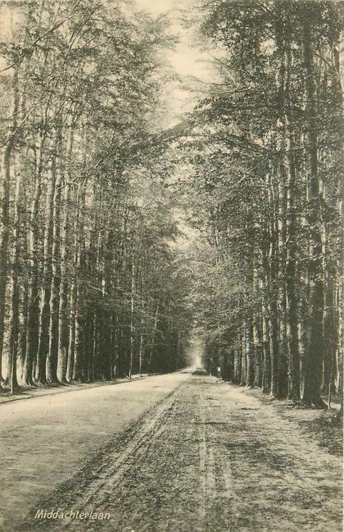 (701-043-003) De Steeg Middachterlaan, Verzamelen, Ansichtkaarten | Nederland, Gelderland, Verzenden