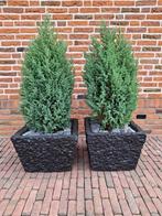 2 betonnen bloembakken, Ophalen, Vierkant, Tuin, Zo goed als nieuw
